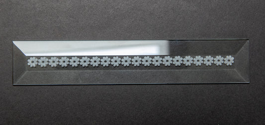 Engraved Bevel - Border, Daisies