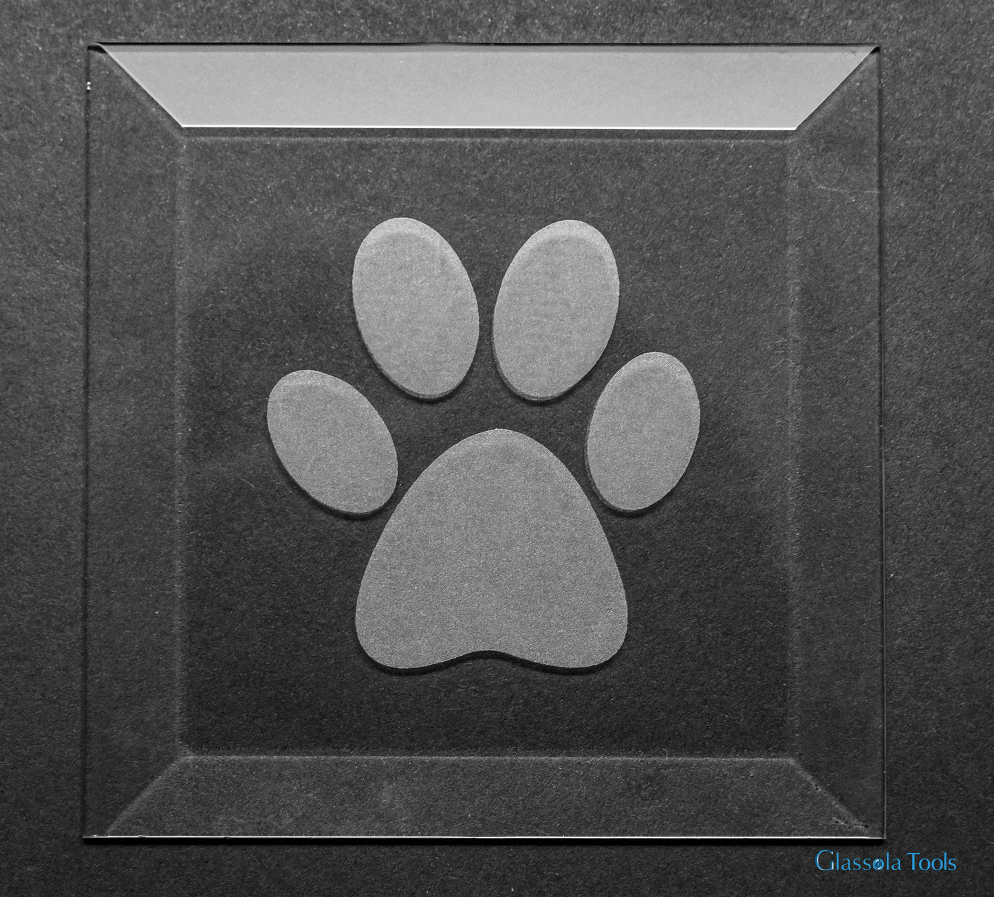 Engraved Bevel - Paw Print