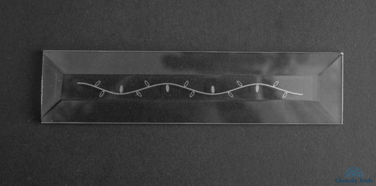 Engraved Bevel - Border, Christmas Lights