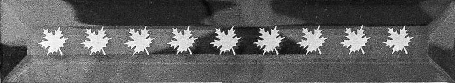 Engraved Bevel - Maple Leaves