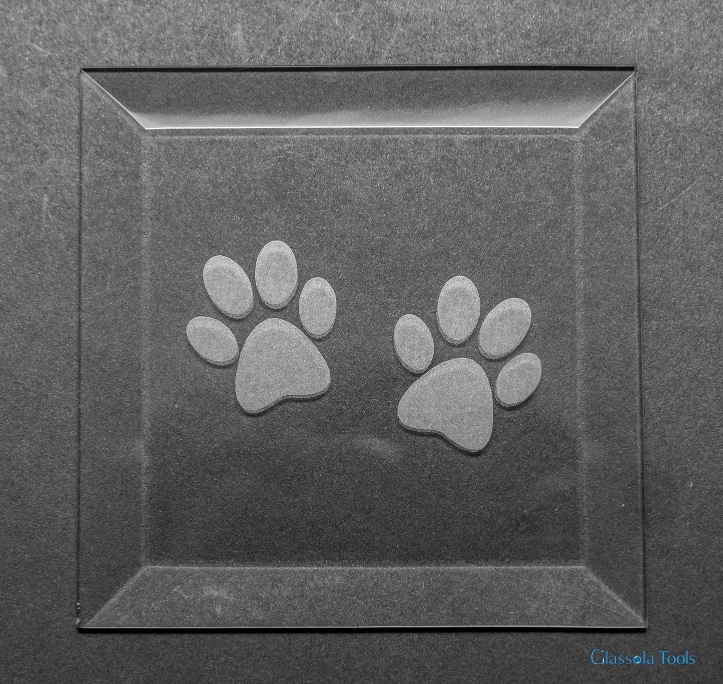 Engraved Bevel - Two Paw Prints